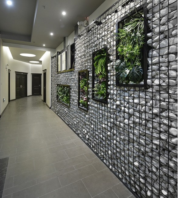 鹅卵石上长出的绿植不仅给墙面增添了色彩而且给整个走廊也是清新。